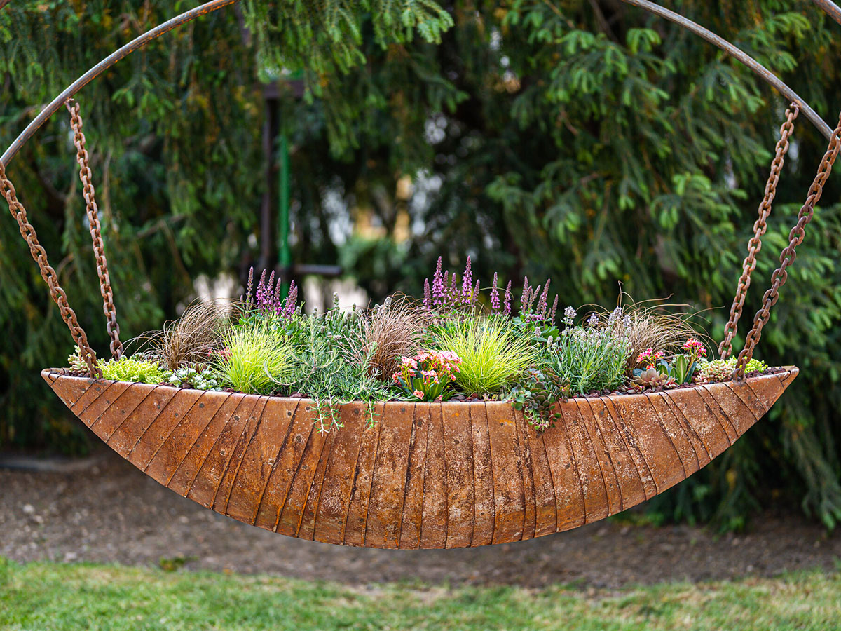 Karolina Zackova hanging plants design