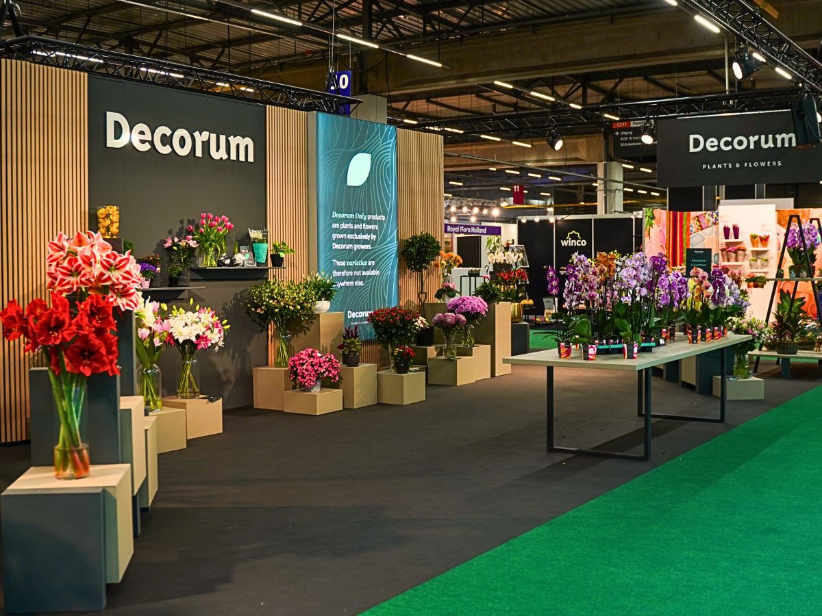 Exceptional 'Decorum Only' Floral Showcase at the 2024 Trade Fair Aalsmeer