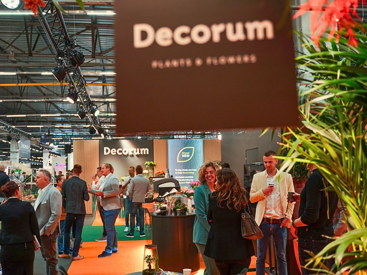 Exceptional 'Decorum Only' Floral Showcase at the 2024 Trade Fair Aalsmeer