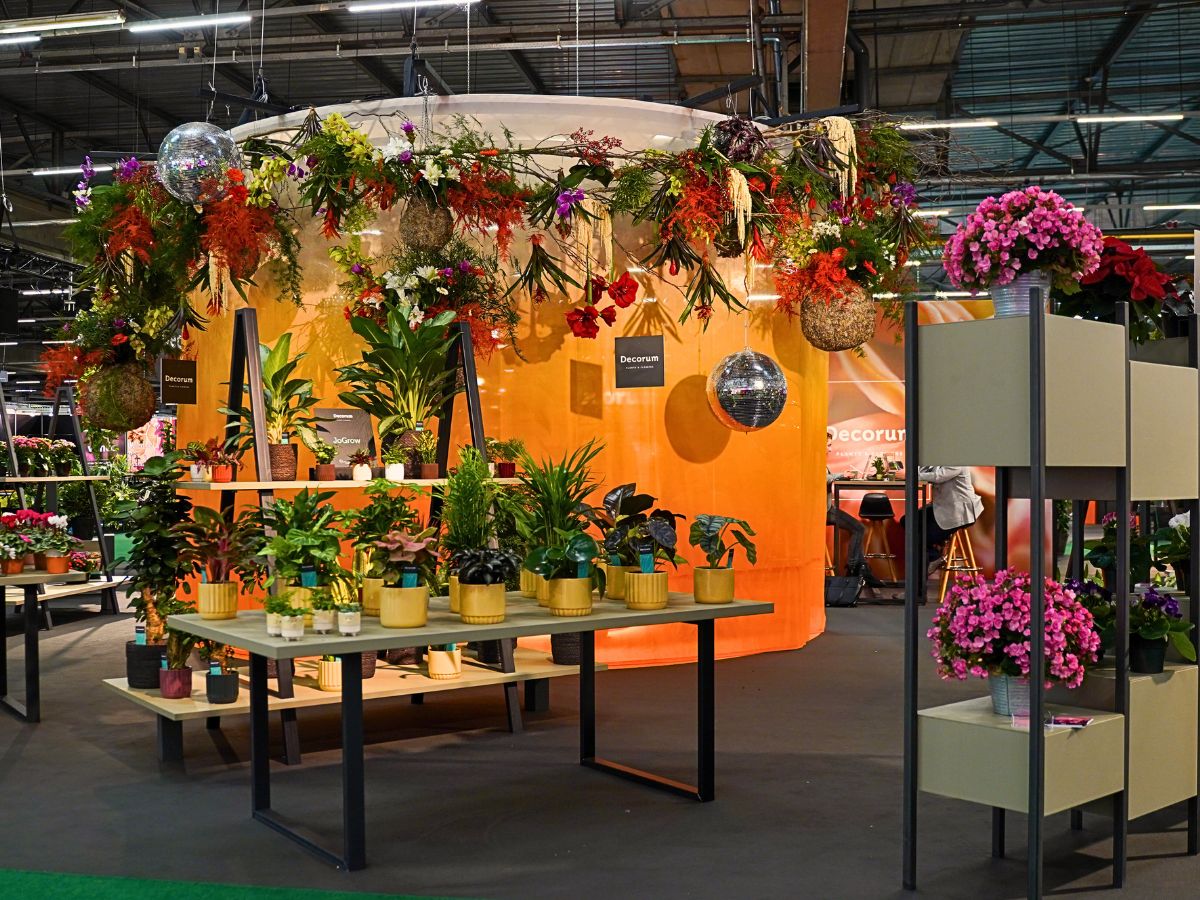 Exceptional 'Decorum Only' Floral Showcase at the 2024 Trade Fair Aalsmeer