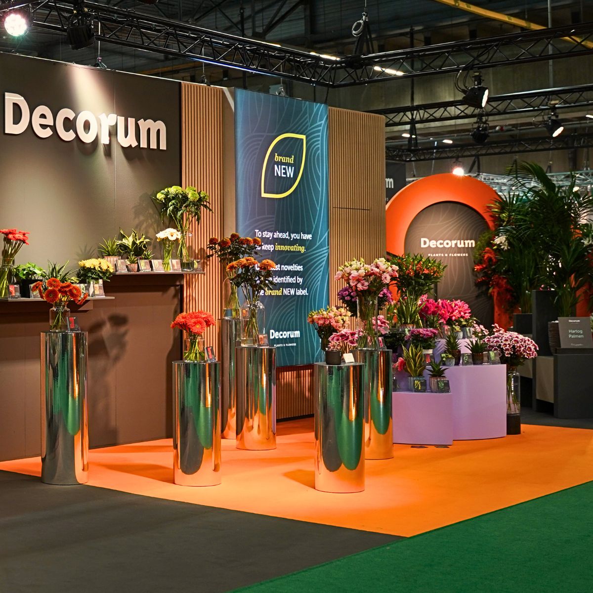 Exceptional 'Decorum Only' Floral Showcase at the 2024 Trade Fair Aalsmeer