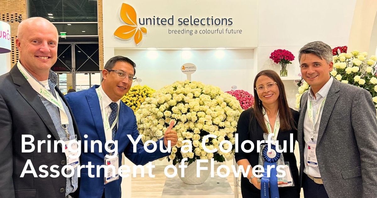 The Many Reasons Why You Should Visit United Selections’ Booth at I​FTF 2024