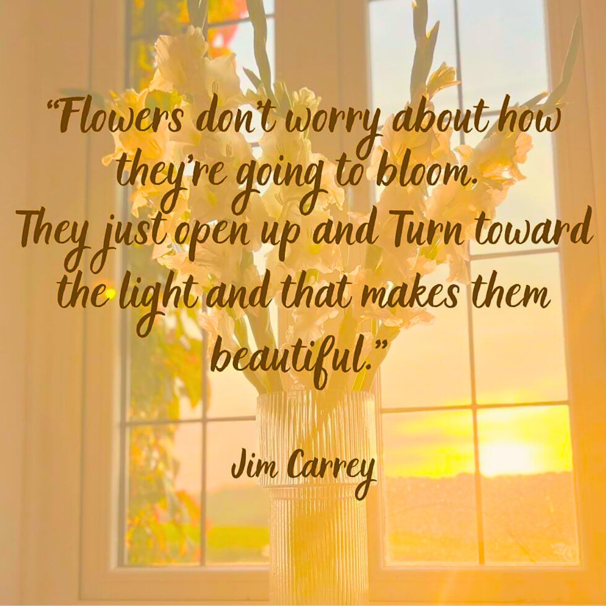 Flower quote by Jim Carrey