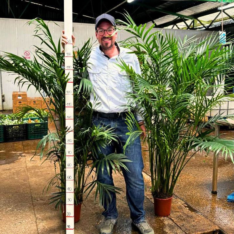 Andres Sepe of TAK Global with Cat Palm