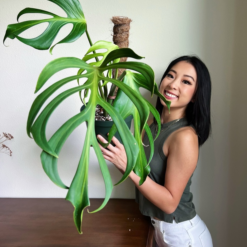 lady ready to transport their home plant 