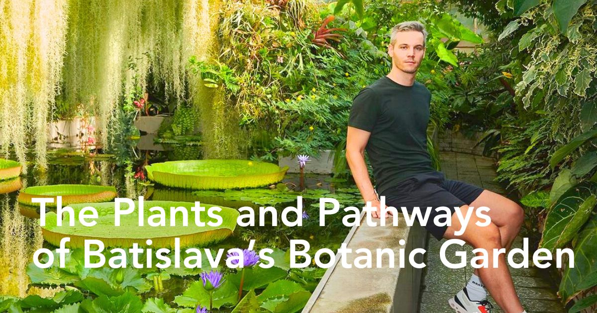 Batislava botanical garden