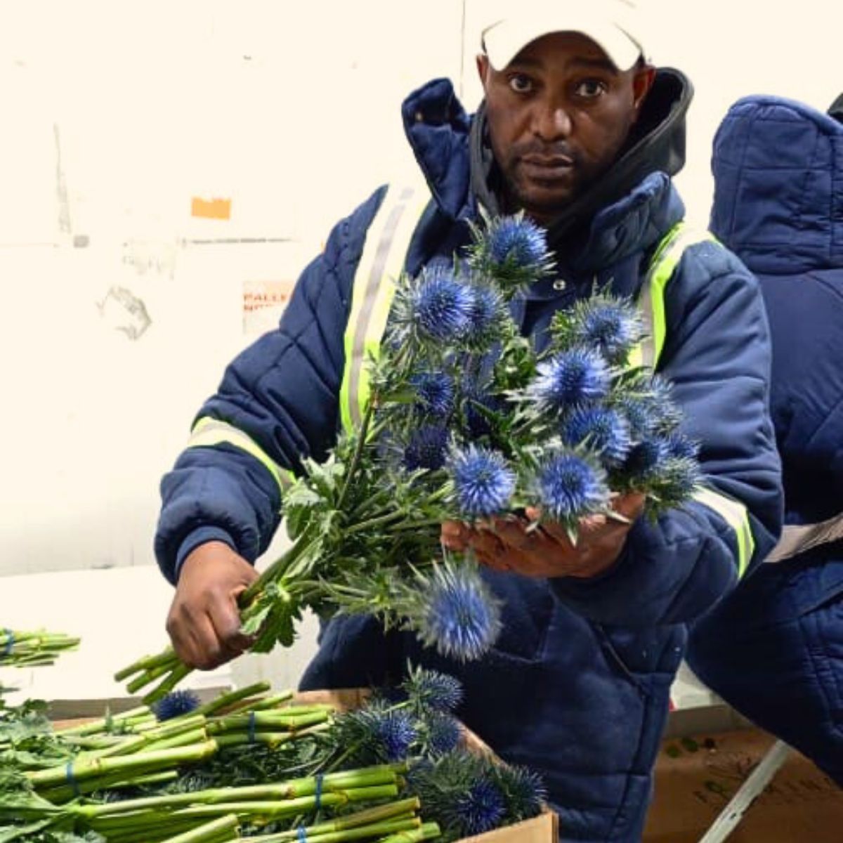 Wafex Kenya Seeks to Connect With More Floral Markets Especially From Europe at the IFTF 2024