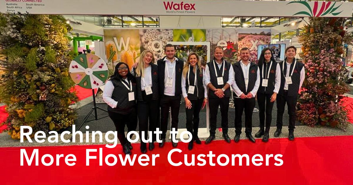 Wafex Kenya Seeks to Connect With More Floral Markets Especially From Europe at the IFTF 2024