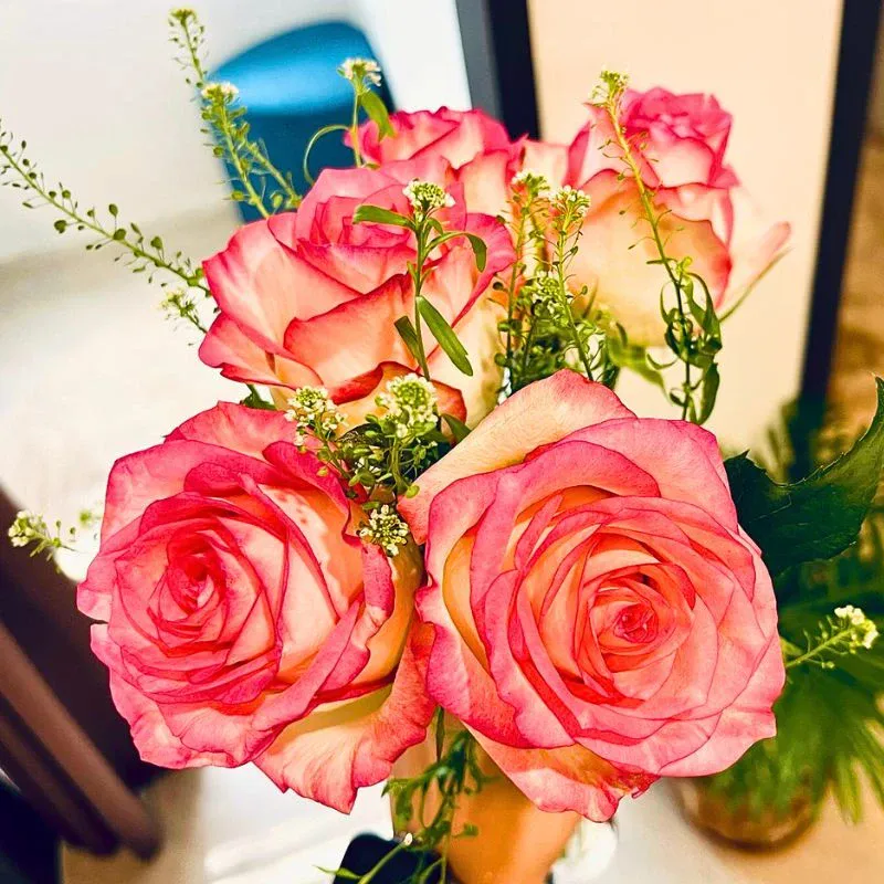 Rose Jumilia Shows Its New Luxurious Image