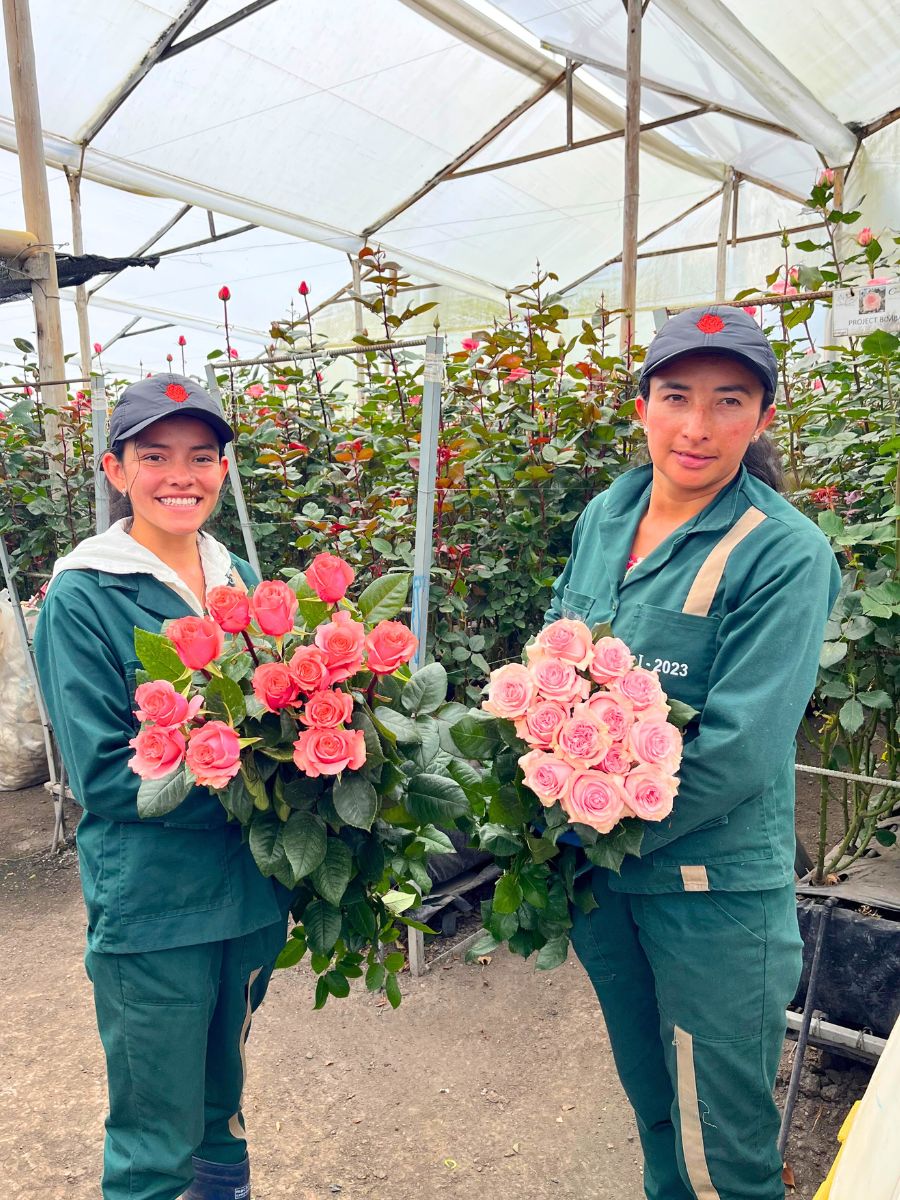 Continental workers with fresh cut roses