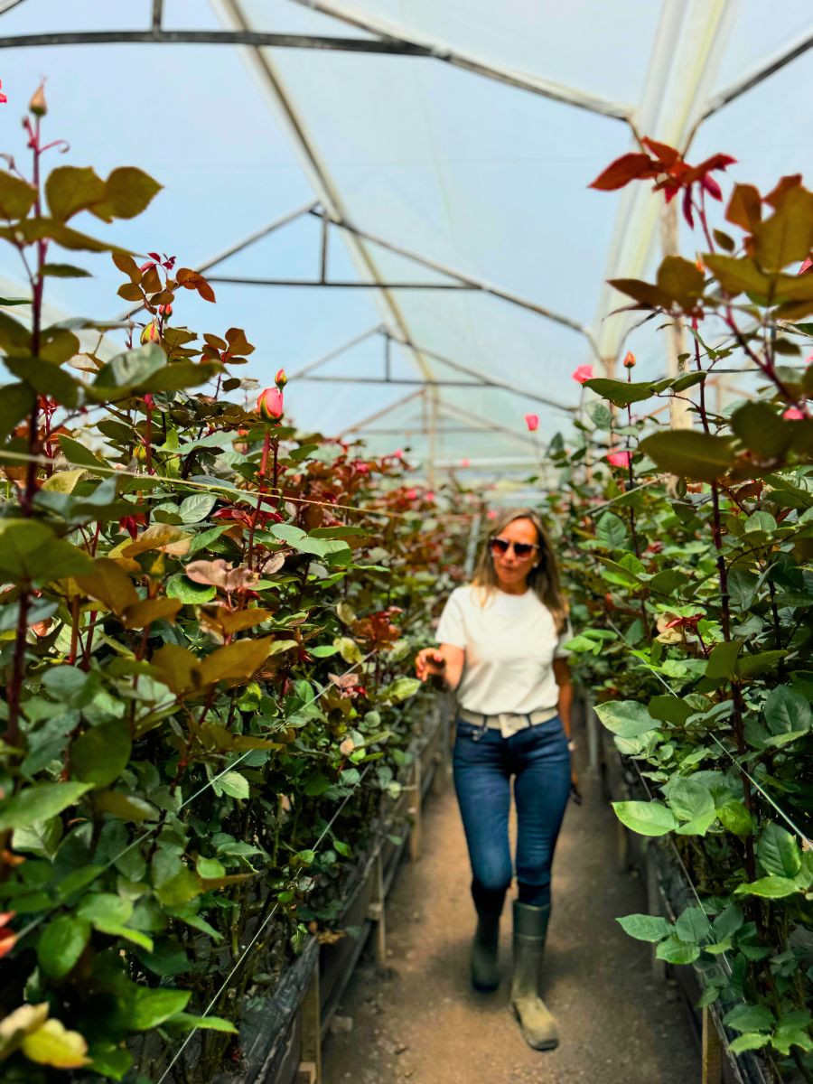 Luisa Aldana strolling through a post harvest