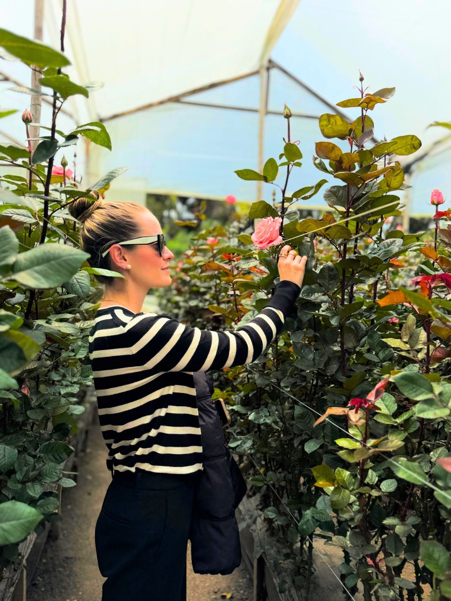 Melissa looking at a bloomed pink rose