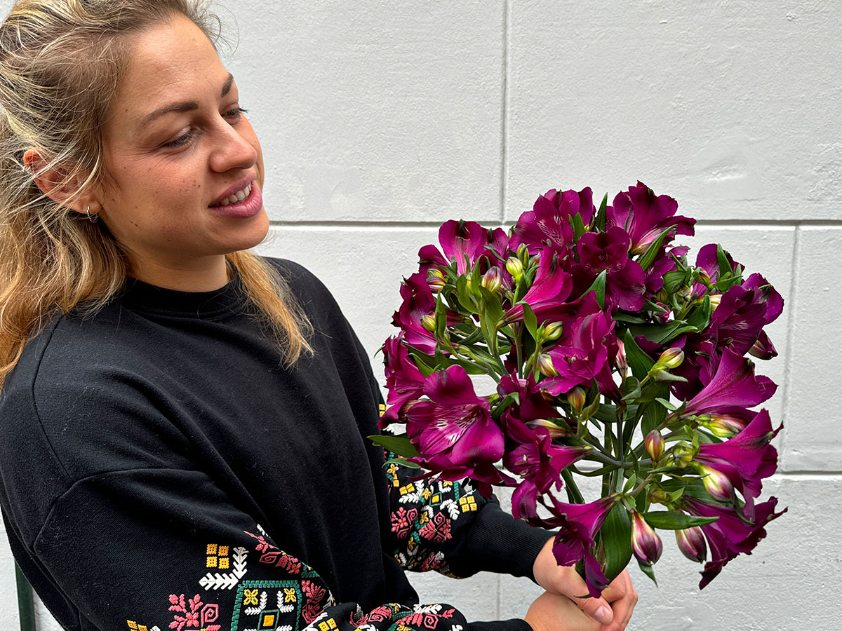 Alstroemeria Maracana at Fiori Bloemen