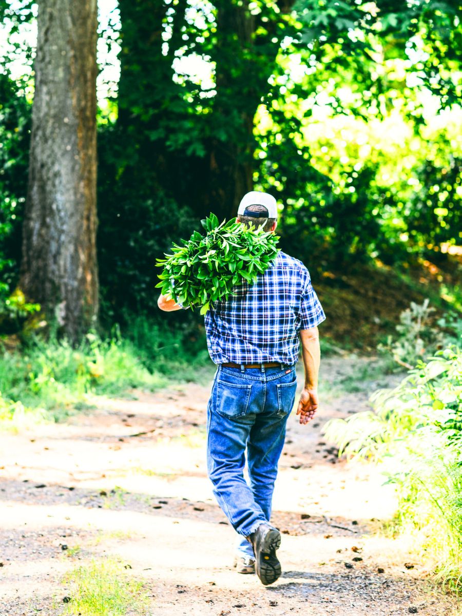 FJ Trzuskowski VP of sales on oregon farm