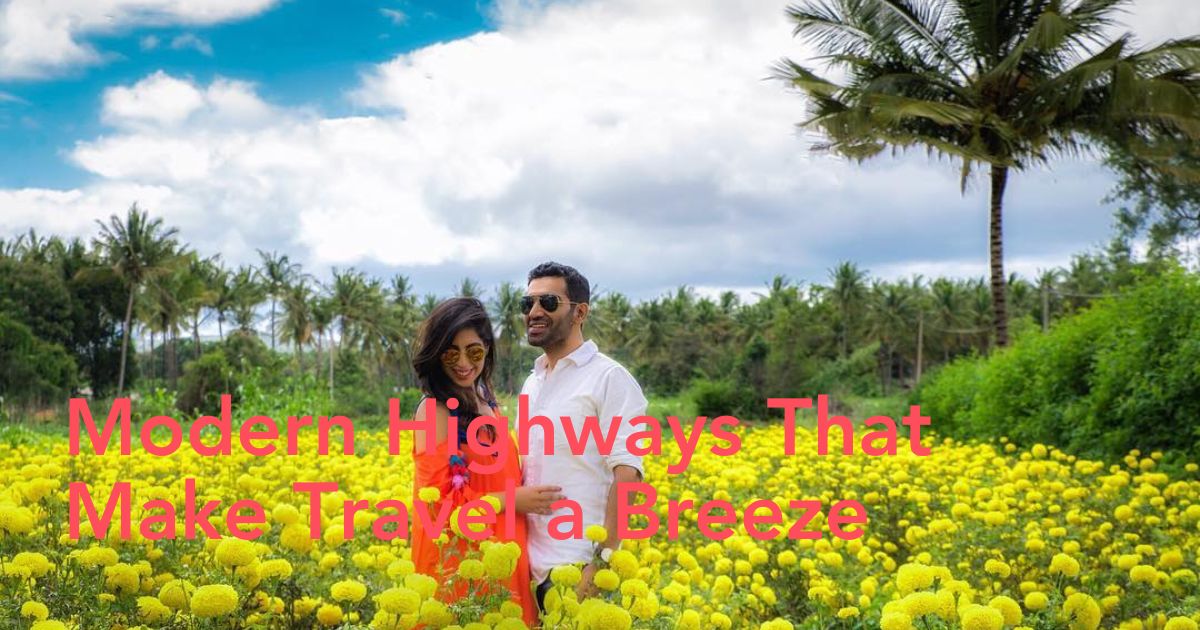 Road Trip Karnataka to Sunflower and Marigold Fields - Thursd Article - Header Image