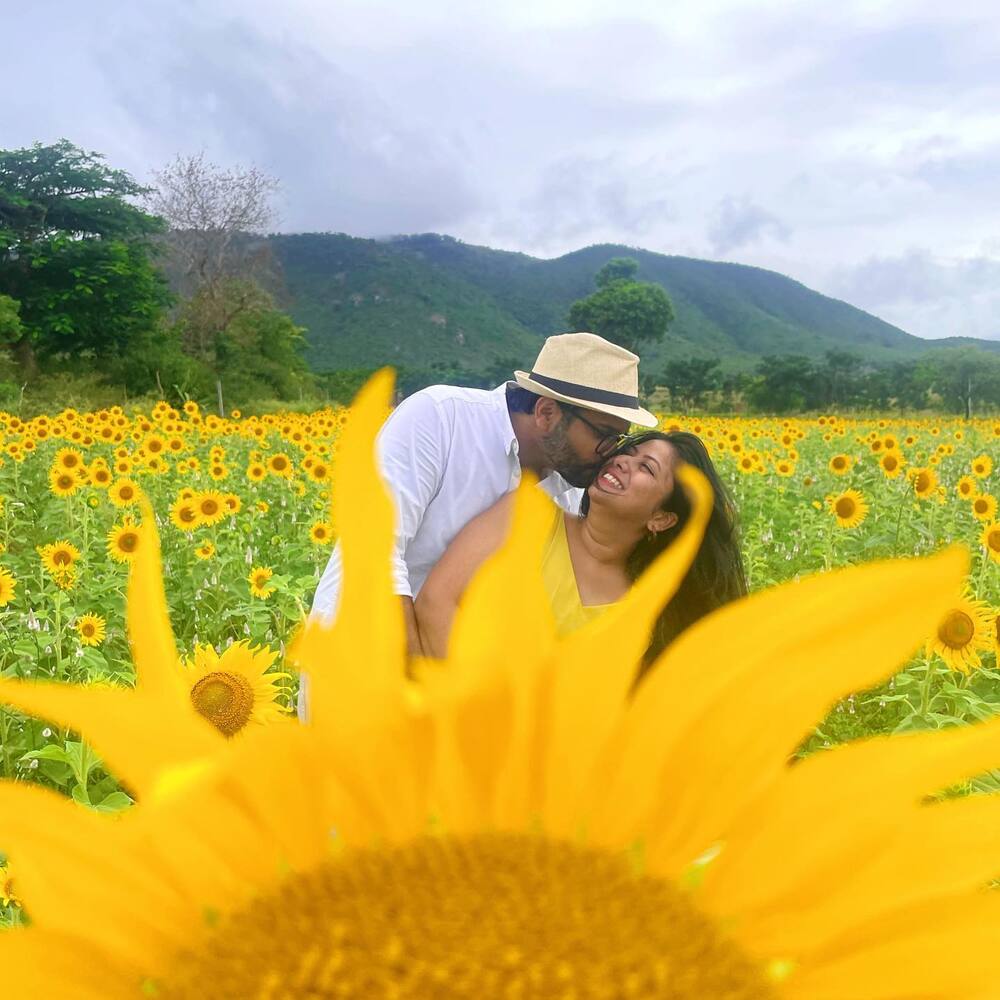 Sunflower fields make you romantic - still from Gundlepet sunflower field