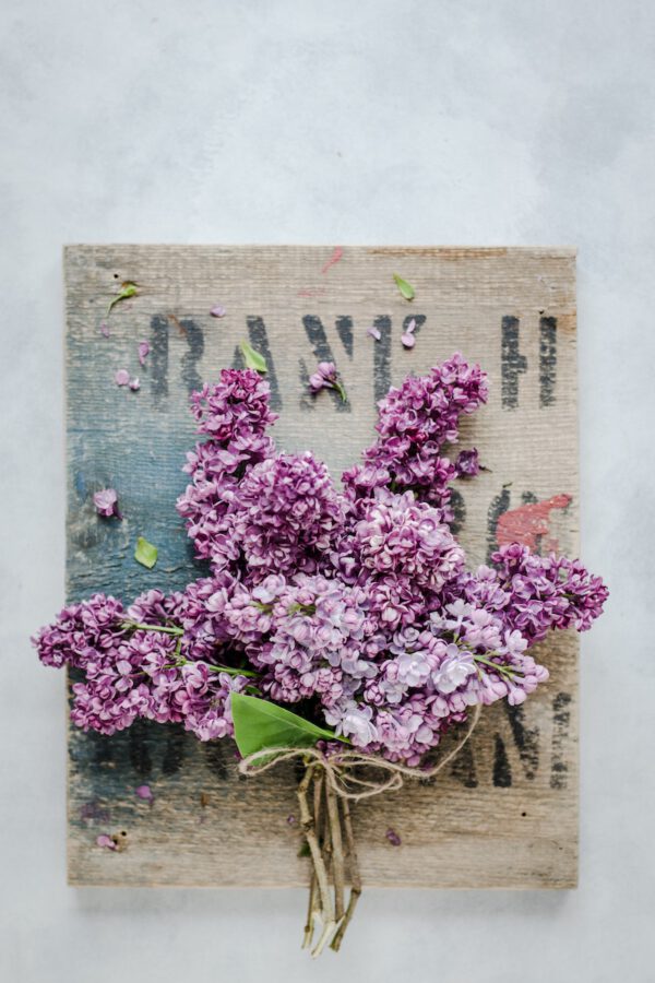 Edible Flowers - Lilacs