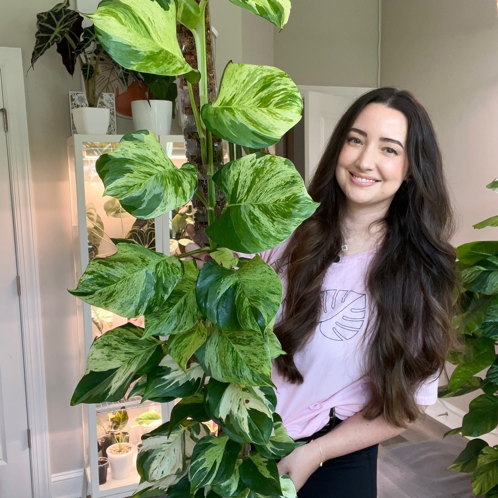 Lady holding big home plant