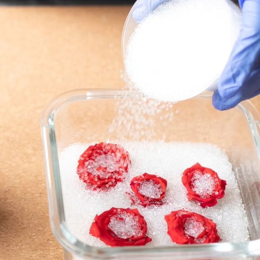 preserving roses using silicon