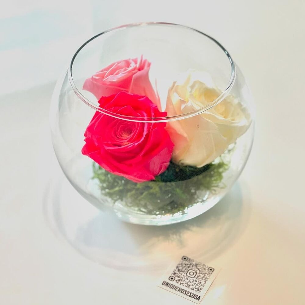 colored preserved roses in different colors