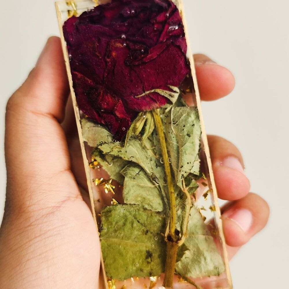 preserved rose