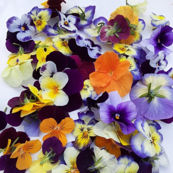 Time to Serve Some Edible Flowers - Bon Appetit! Violets