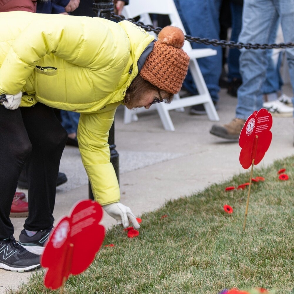 a person remembers the veterans and their sacrifices on Remembrance Day