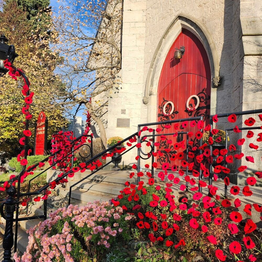 garden and surrouding decorated with poppy flower on occasion of Remembrance Day