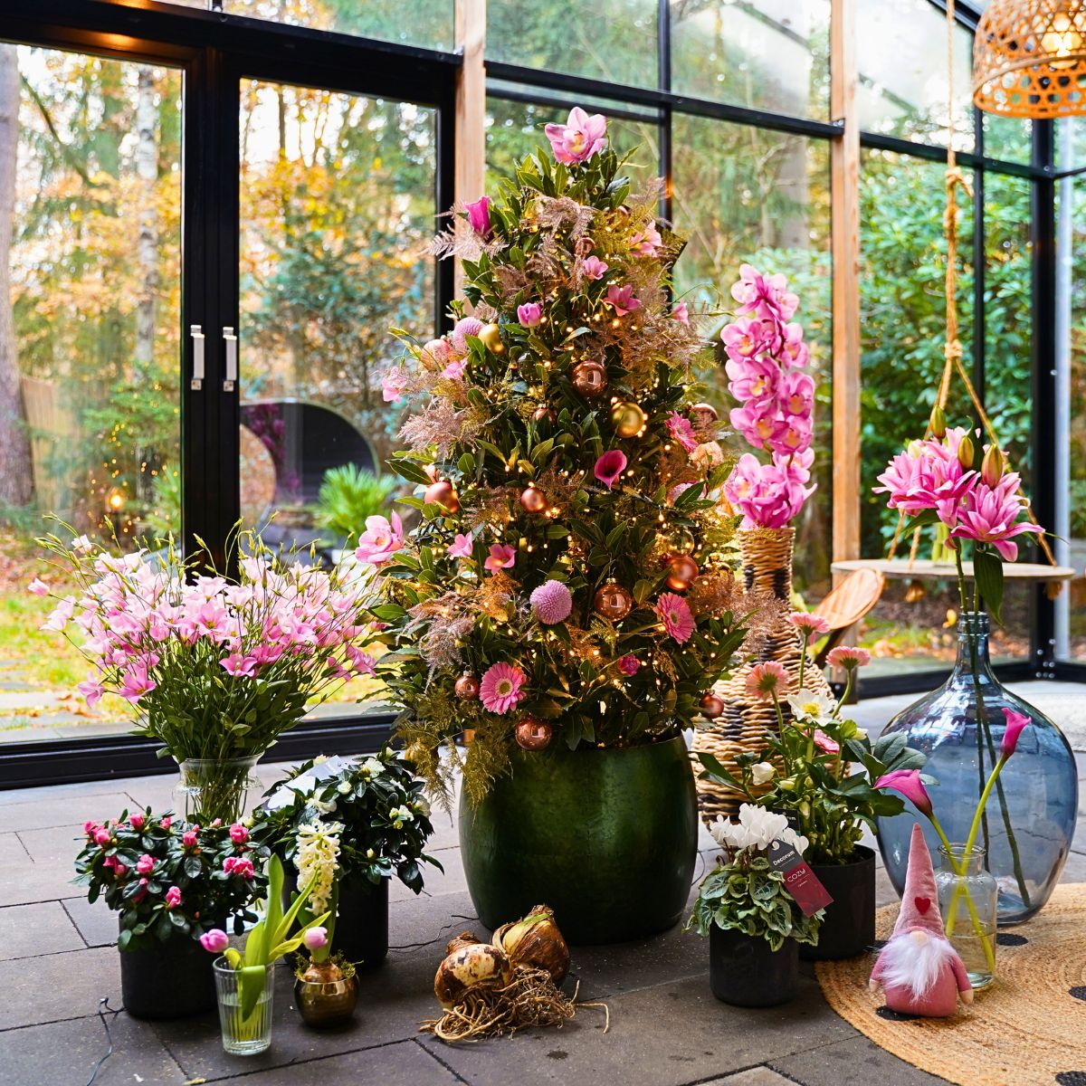 Decorum Plants and Flowers Indoors Can Brighten Up Your Dark and Gloomy Wintry Months