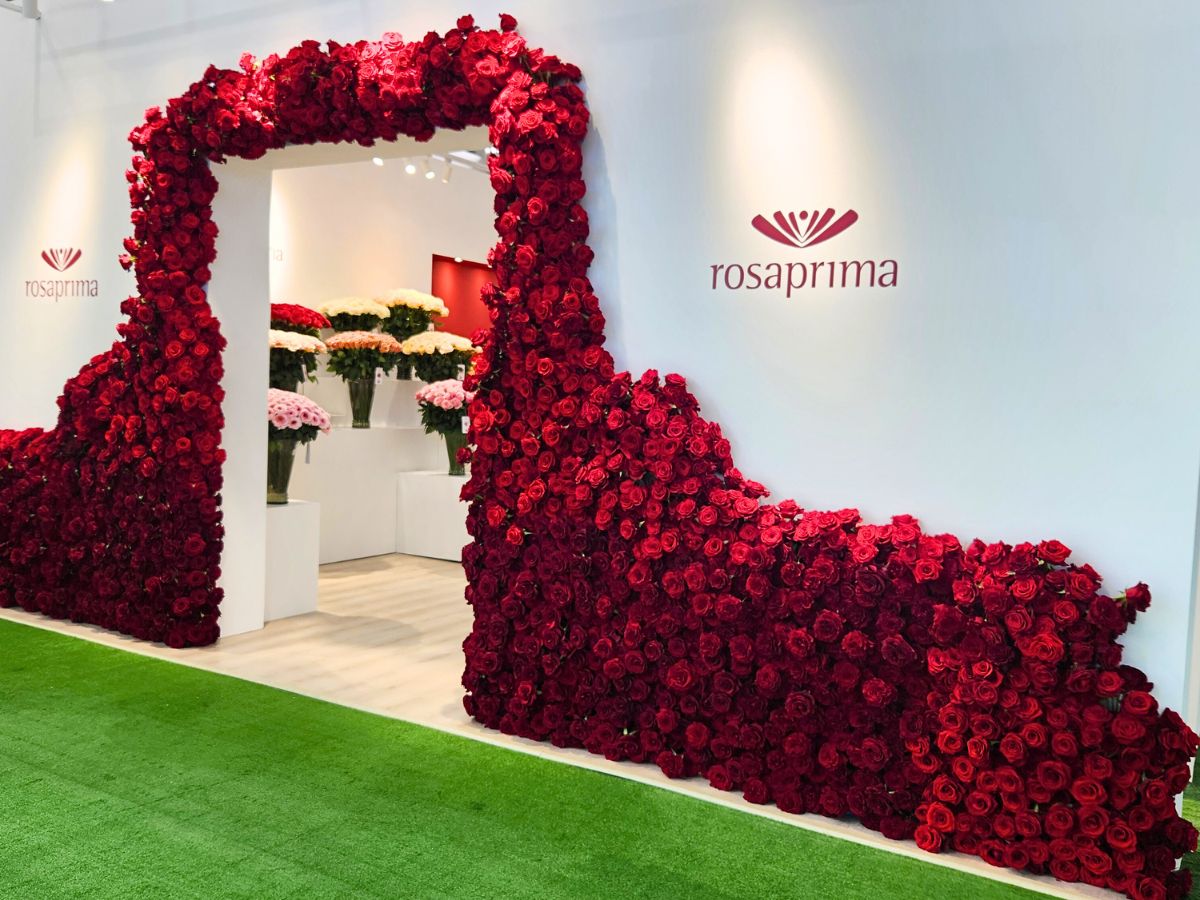 Impressive stand design using Redvolution roses