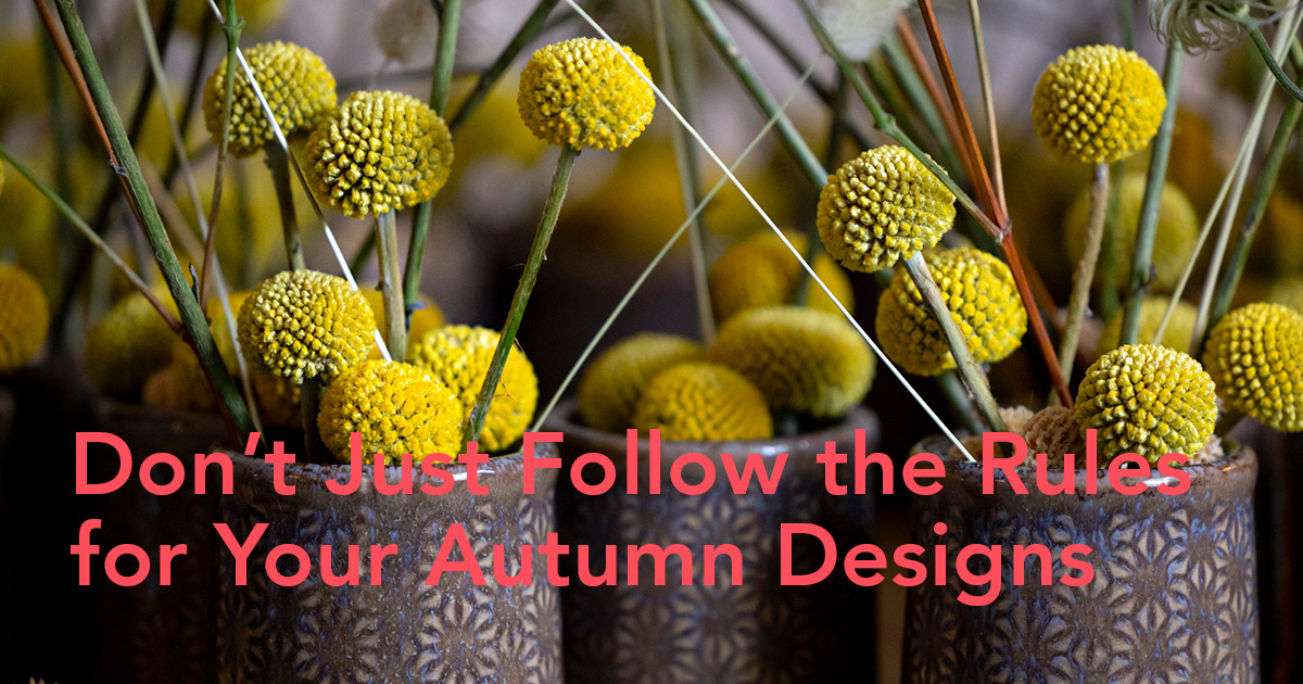 Krisztian Kover Yellow and Purple Autumn Design header