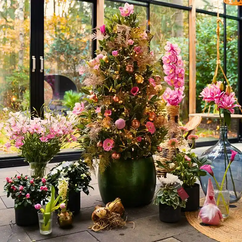 Decorum Plants and Flowers Indoors Can Brighten Up Your Dark and Gloomy Wintry Months