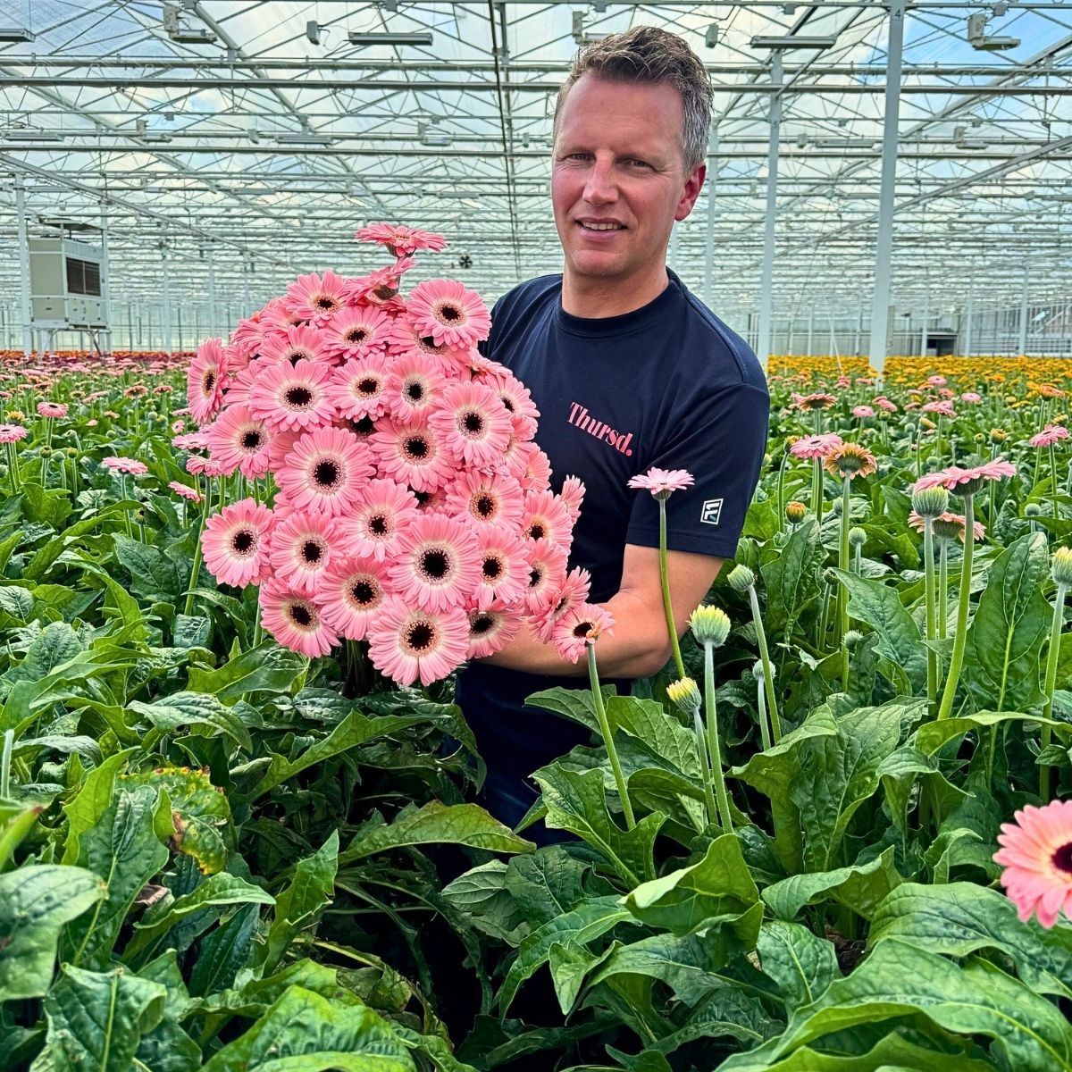 Peter Van Delft Visiting Oudijk Gerbera