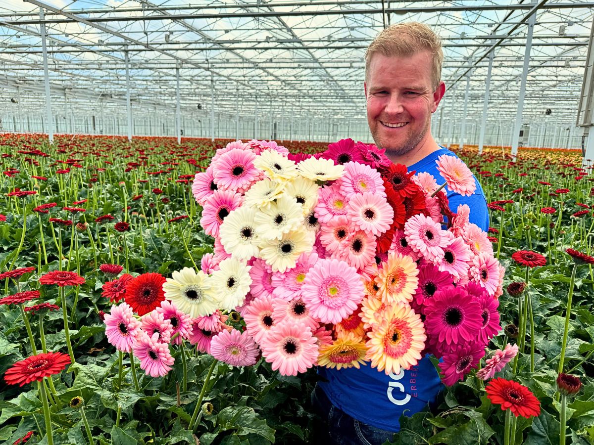 Peter Van Delft Visiting Oudijk Gerbera