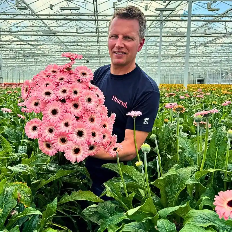 Visiting Oudijk Gerbera - Together for Quality