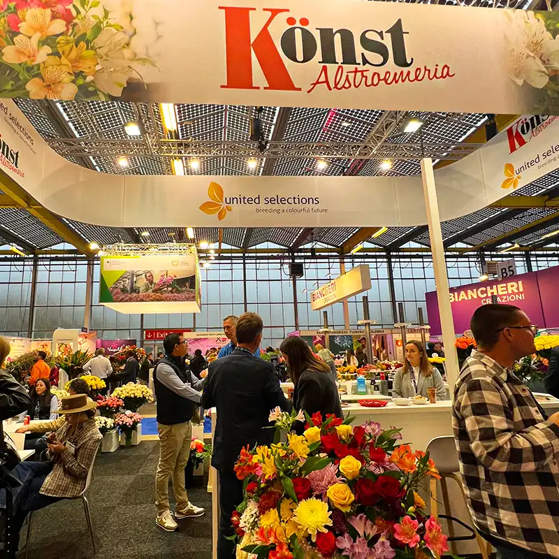 Könst at IFTF 2024 feature