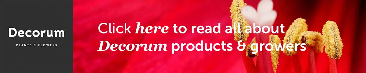 Banner Decorum Christmas 2 Desktop Banner Decorum Christmas 2 Desktop