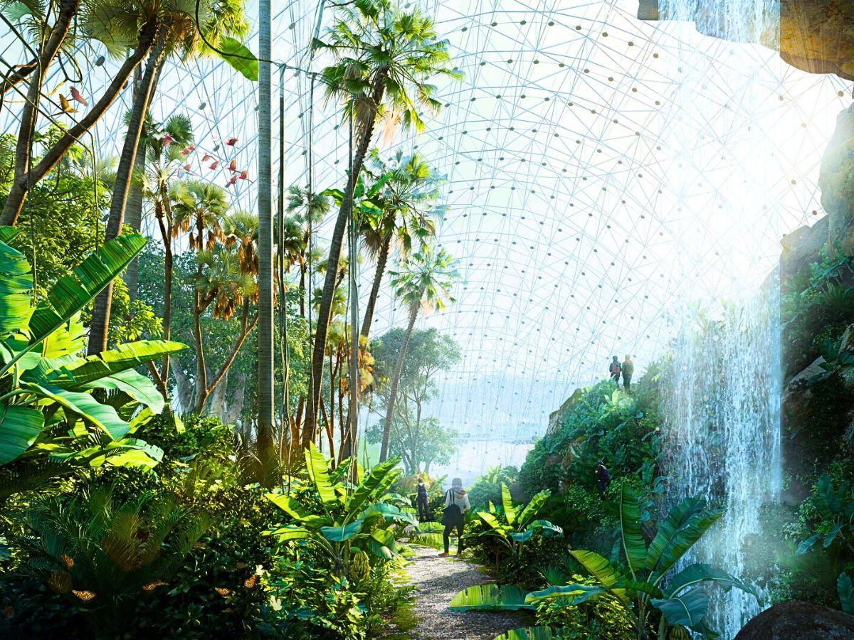 Greenery inside the Shanghai Expo