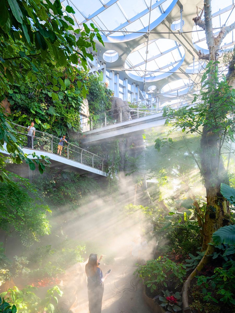 Green plants and sun coming into the greenhouse