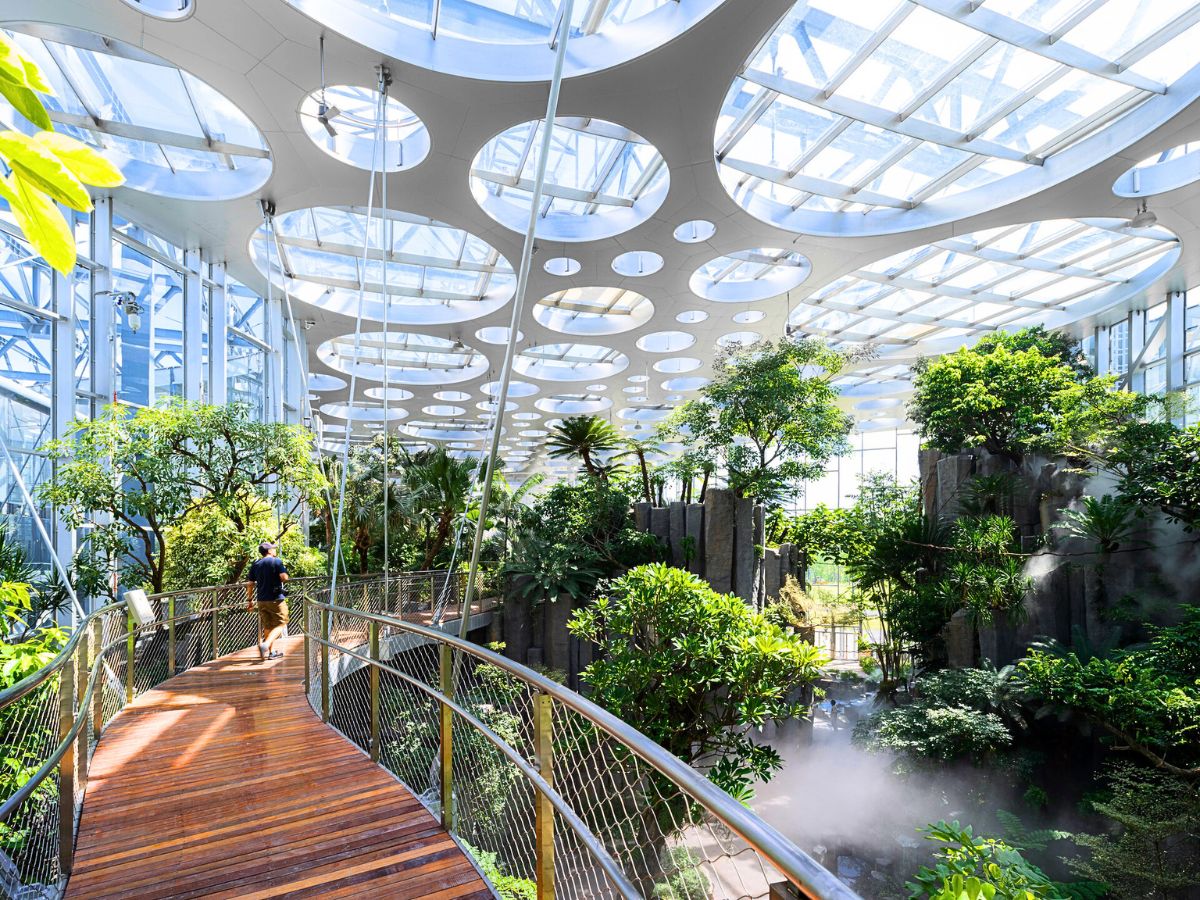 Inside the rainforest pavillion