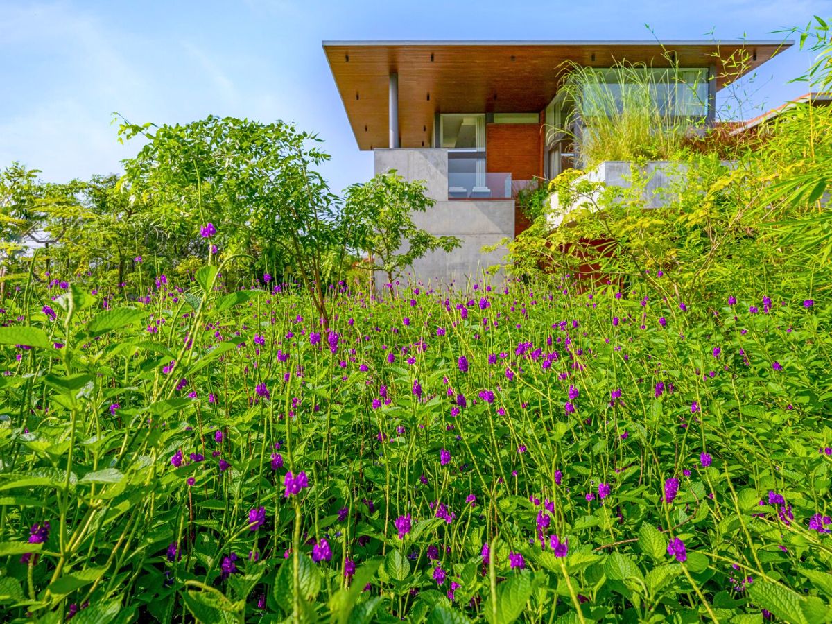 Bright green surroundings in Forest of Joy by Hiren Patel Architects