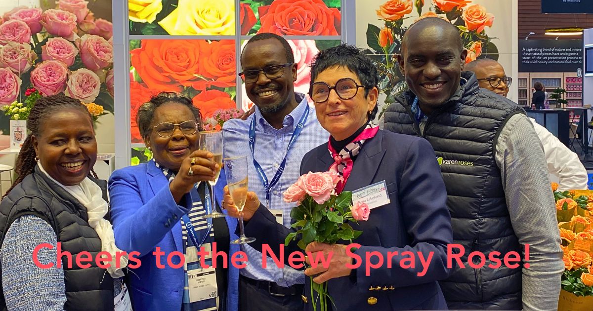 Cheers to the baptism of the new spray rose at the booth of Viking Roses.