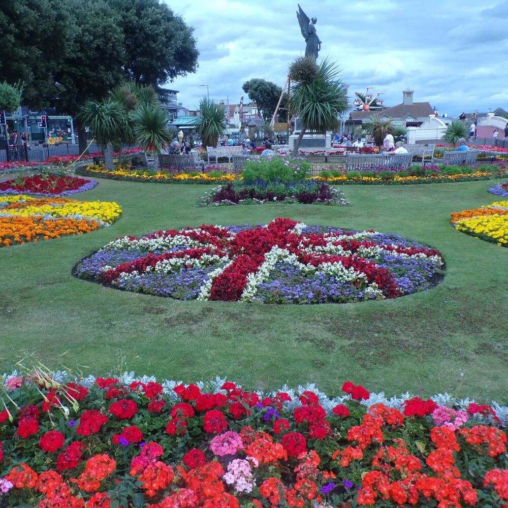 Multicolor flower memorial garden