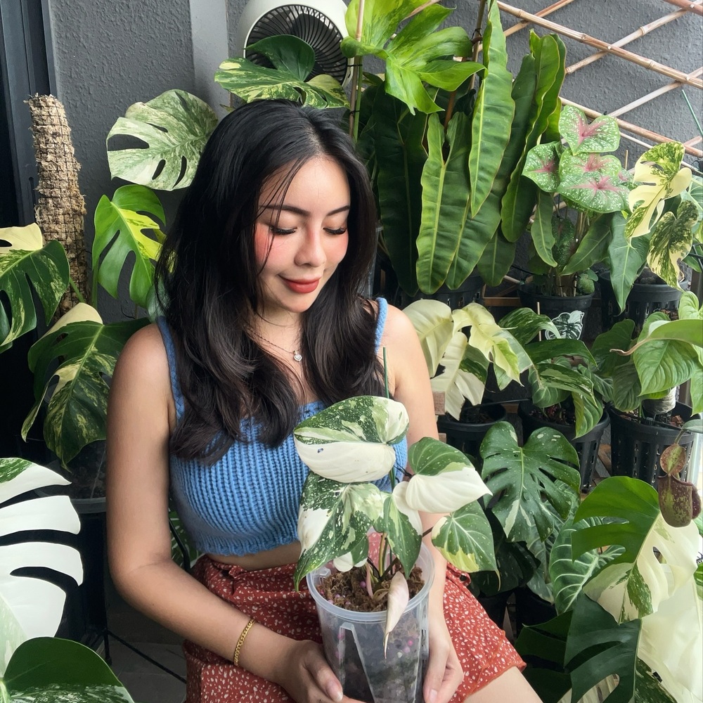 Beautiful lady with amazing home plant