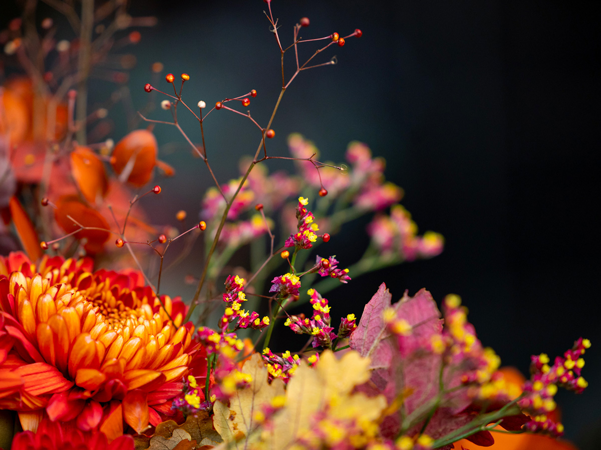 Krisztian Kover fall bouquet zoom talinum and limonium