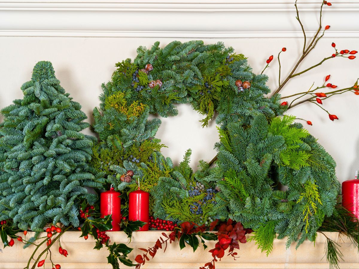 Red rosehips decorating Xmas spaces with wreaths and trees