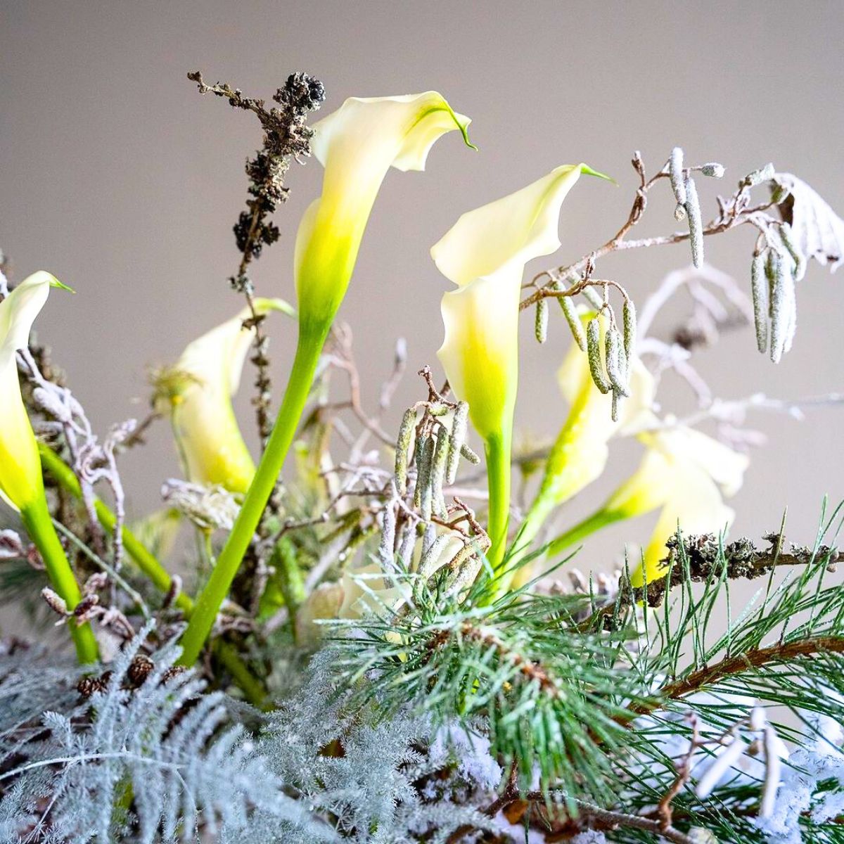 Winter design using white callas