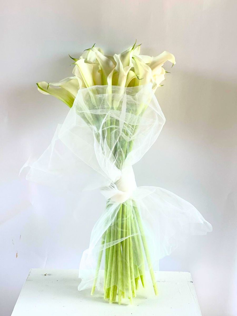 Callas wrapped in a tulle piece