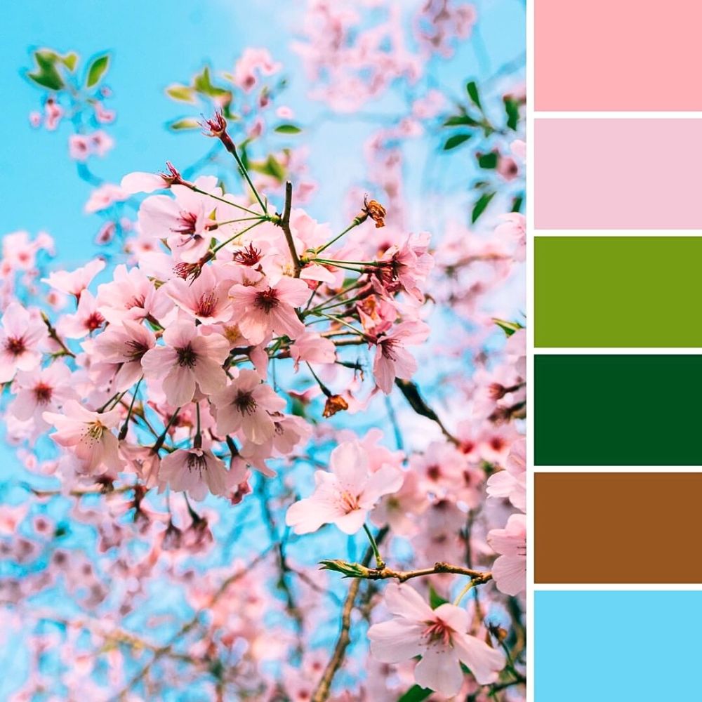 Floral Trend Color 2025