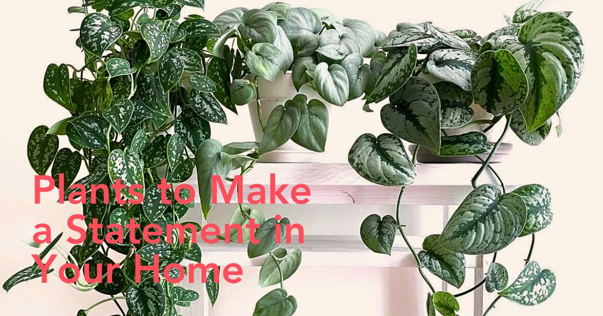 Houseplants that are trending